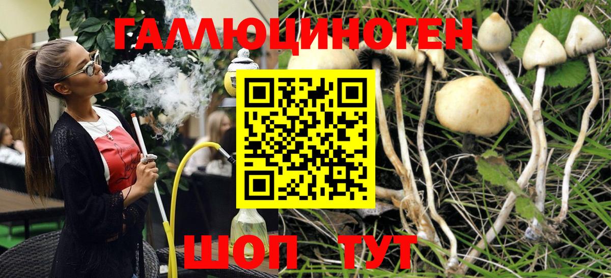 Ангарск  Галлюциногенные грибы MAGIC MUSHROOMS  Вход с VPN 